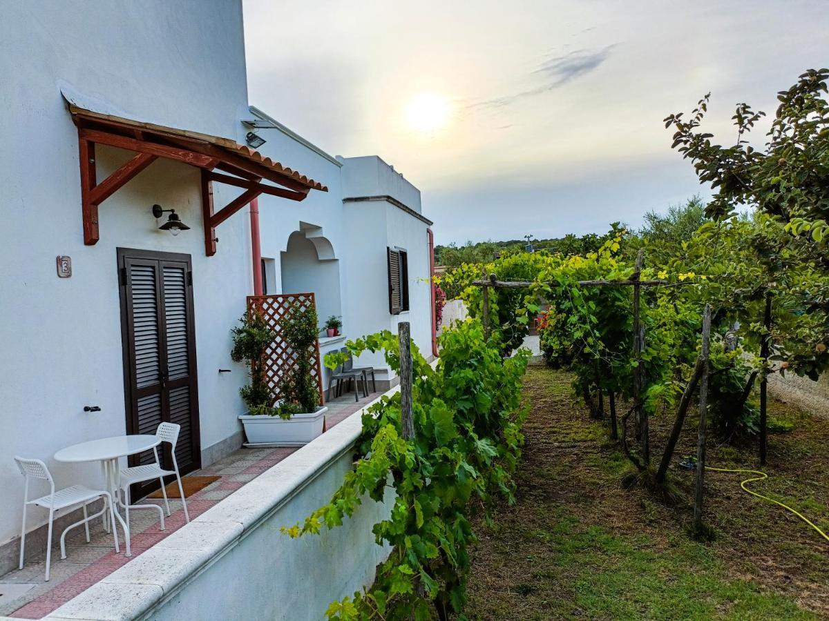 Il Giunco B&B Vieste Bagian luar foto