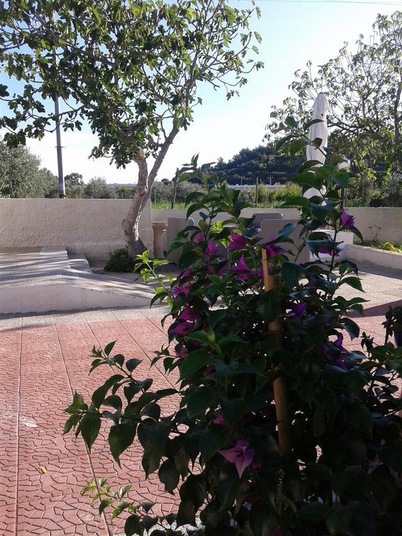 Il Giunco B&B Vieste Bagian luar foto
