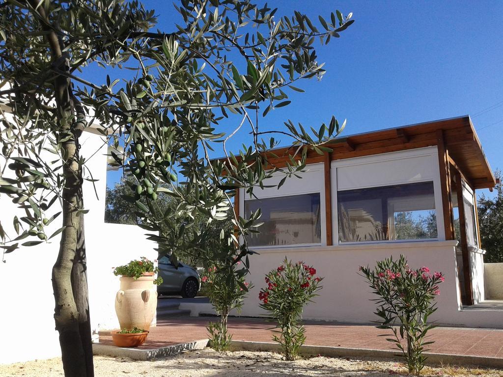 Il Giunco B&B Vieste Bagian luar foto