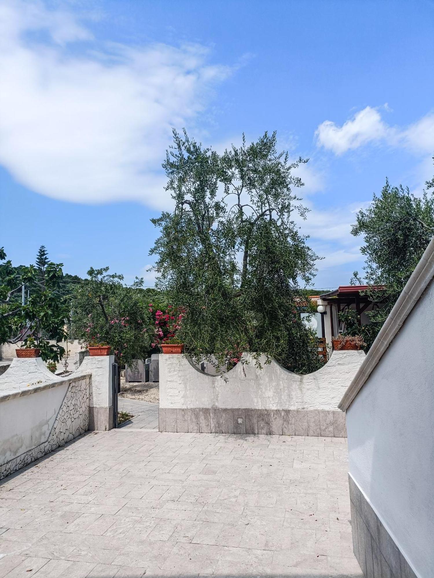 Il Giunco B&B Vieste Bagian luar foto