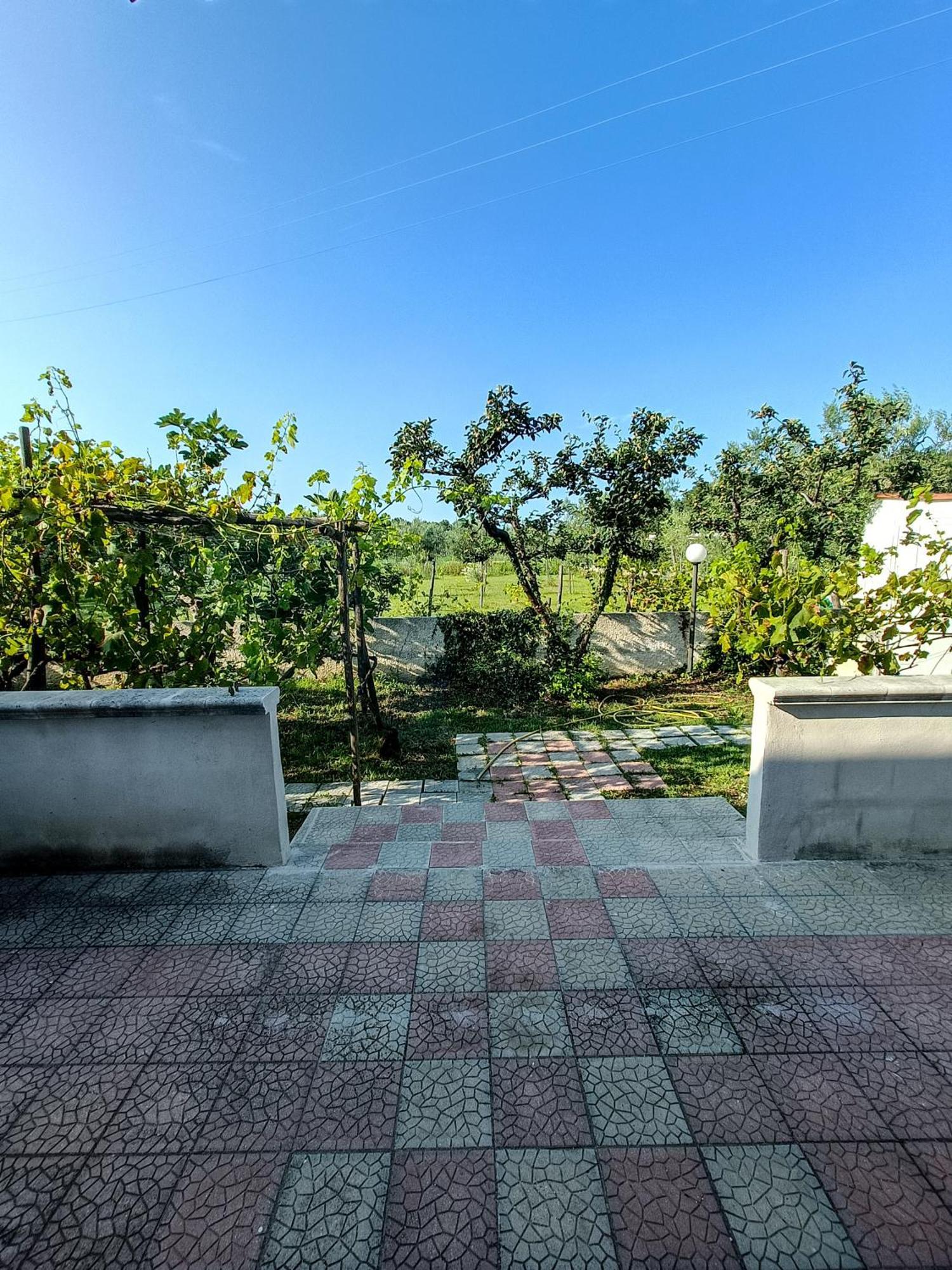 Il Giunco B&B Vieste Ruang foto