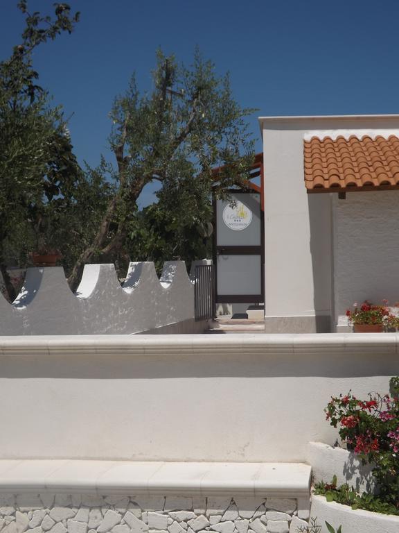 Il Giunco B&B Vieste Bagian luar foto