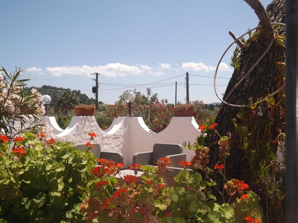 Il Giunco B&B Vieste Bagian luar foto