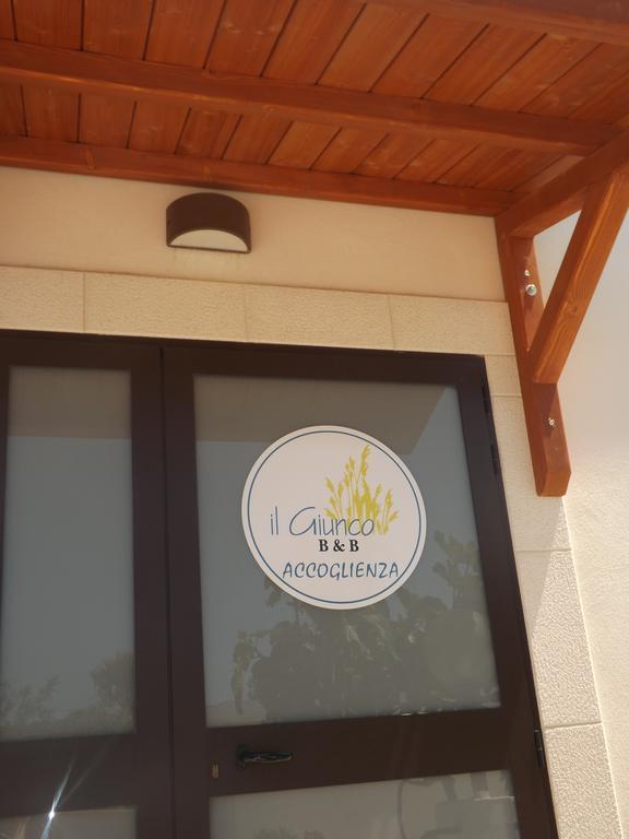 Il Giunco B&B Vieste Bagian luar foto
