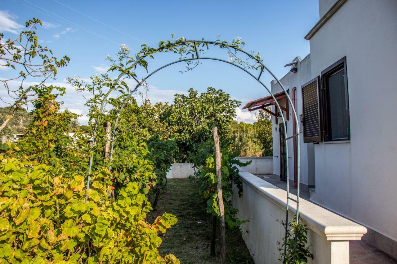Il Giunco B&B Vieste Bagian luar foto